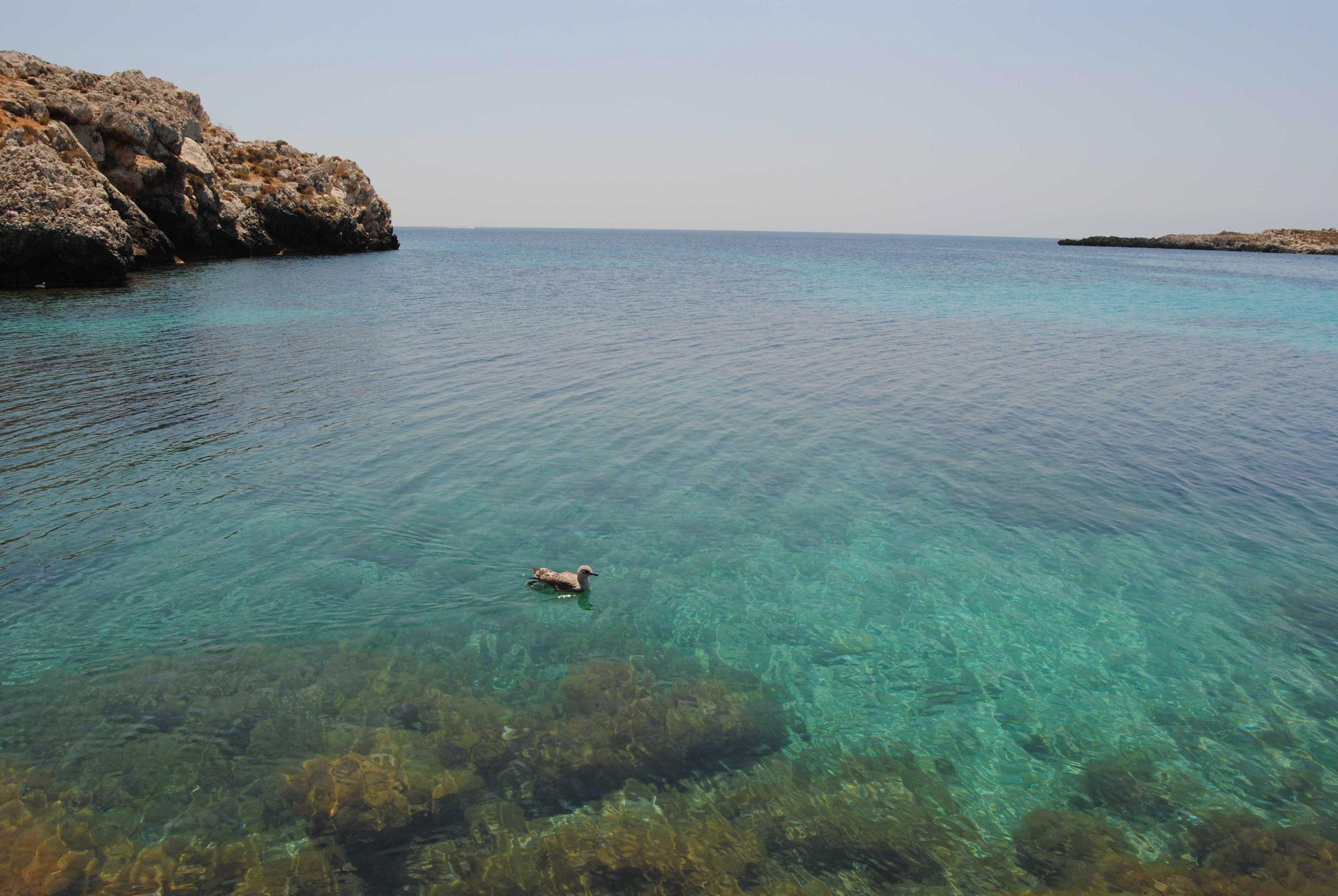 Appartamento Nido Del Pellegrino Favignana Esterno foto